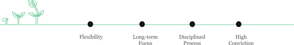 Plant growth illustration representing the FAIR portfolio principles: Flexibility, Long-term Focus, Disciplined Process, and High Conviction.